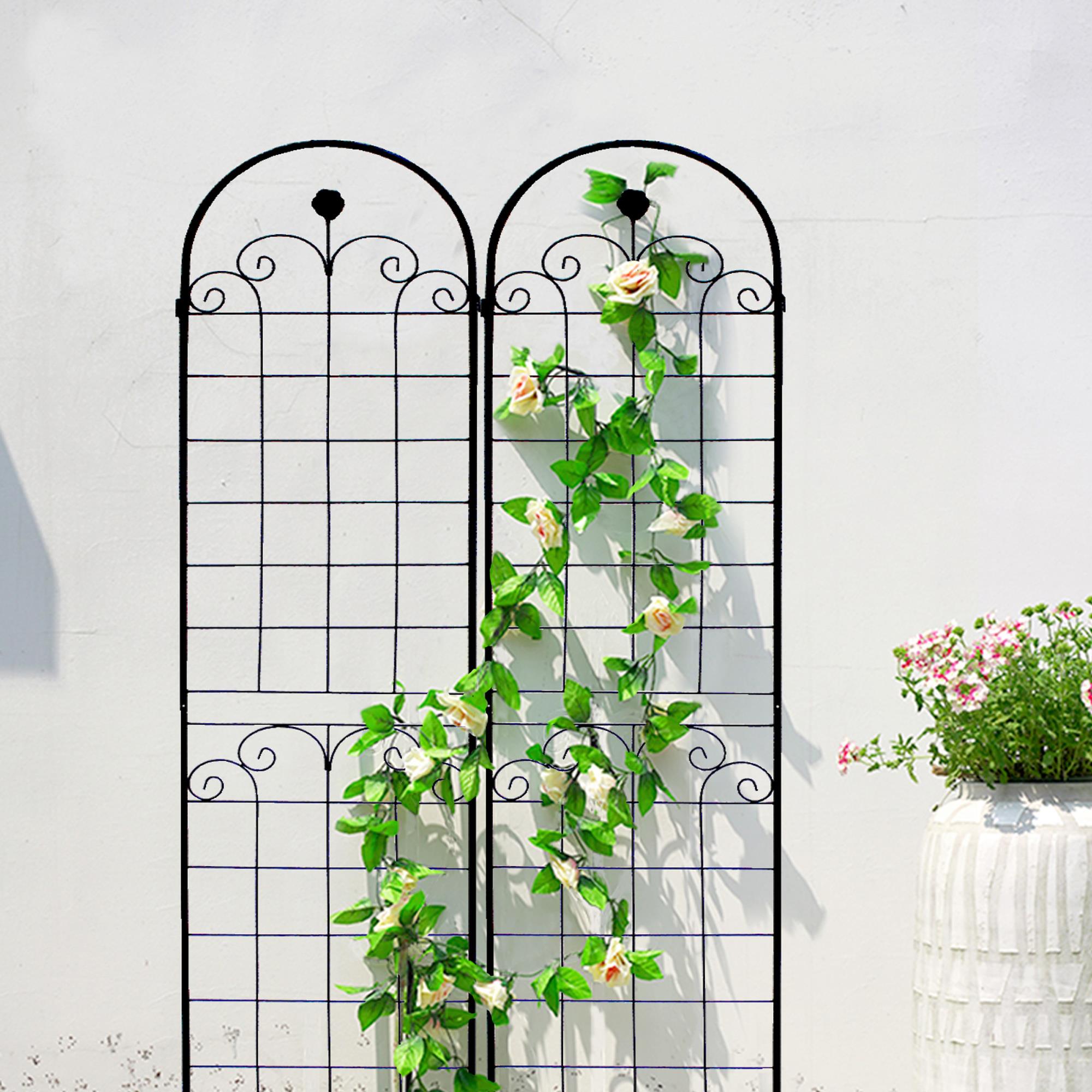 Metal Garden Trellis For Outdoor Climbing Plants