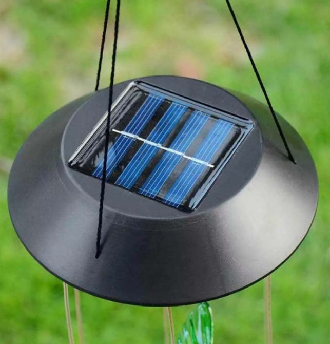 Solar light